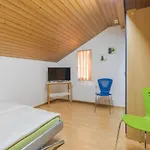 Swiss Mountains Apartments